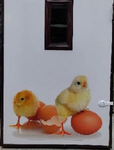 Incubator, hatchery, setter, egg incubator