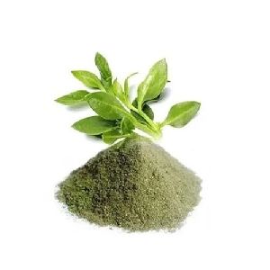 Herbal and Ayurvedic Extract