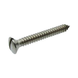 Stainless Steel Slotted Raised CSK Head Screw