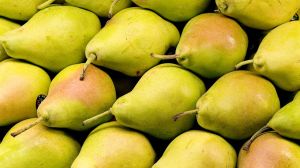 Fresh Pear