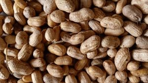 Groundnut (Peanut)