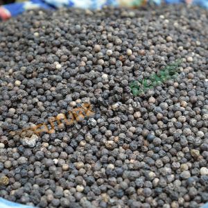 black pepper seed