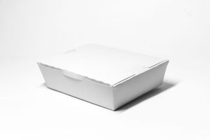 1250 ml Paper Meal Box