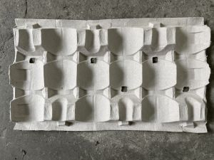 Paper Pulp Moulded Packaging Tray