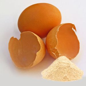 Dried Egg Shell Powder