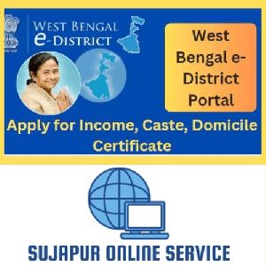 income cast domicile certificate service