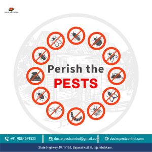 General Pest control services