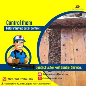 Termite control services