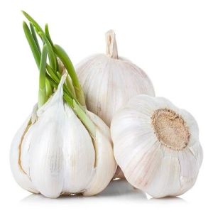 Natural Garlic