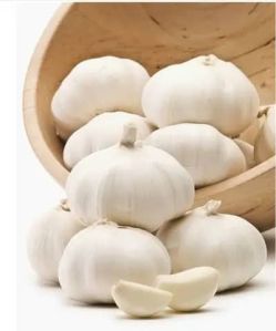 fresh garlic bulbs
