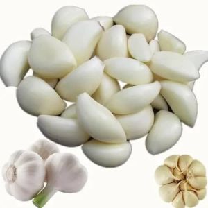 fresh peeled garlic