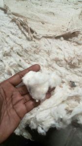 raw cotton