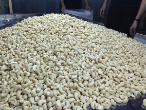 split cashew nut