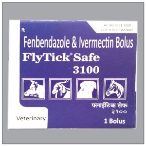 Flytick safe 3100