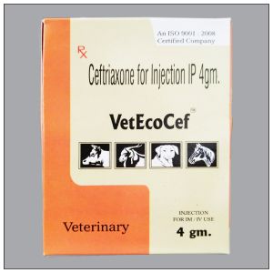 VetEcoCef 4000