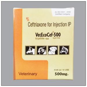 Veterinary Injections