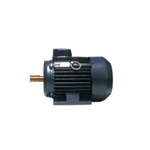 Foot Mounted Electric Motors