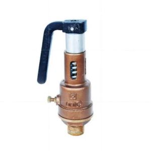 Spring Loaded Safety Valve