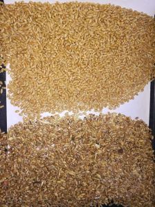 Sortex wheat grain