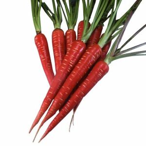 Natural Fresh Red Carrot