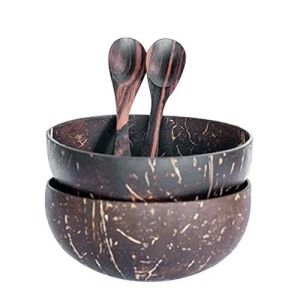 Coconut Desert Bowl Spoon Set