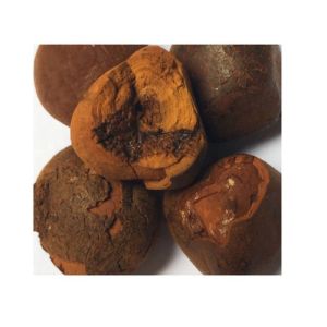 ox gallstones