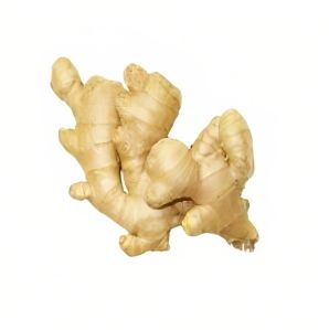 fresh ginger