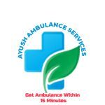 Ventilator Ambulance Service