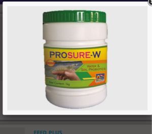 Multi Strain Probiotic