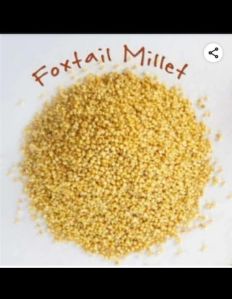 organic foxtail millet