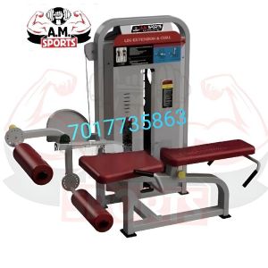 leg extension curl machine