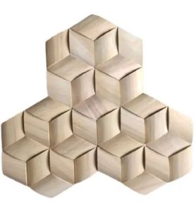 Sandstone Wooden Print Paver Block