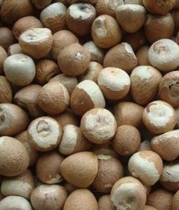 Areca Nuts White