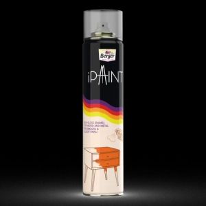 Berger Ipaint Spray Paint