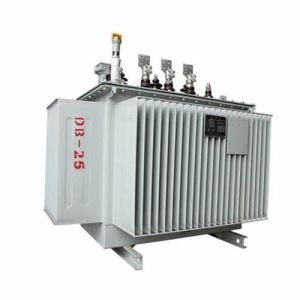 11 KV 100 KVA OIl immersed distribution transformer