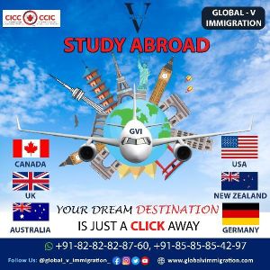 overseas study education consultants