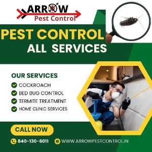 rodent pest control service