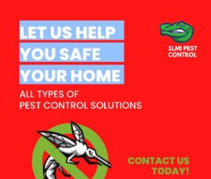 mosquito control services