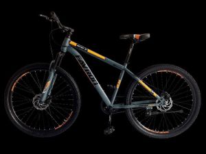 Destiny DX 29 ER - MTB single Speed Bike