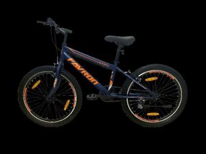 Earth 24 - MTB Single Speed Bike