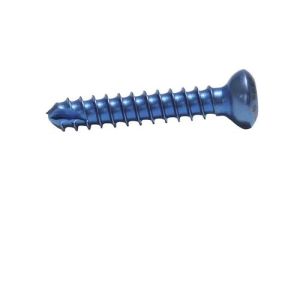 Posterior occipital screw