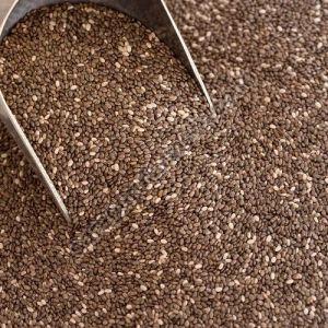 Brown Chia Seed