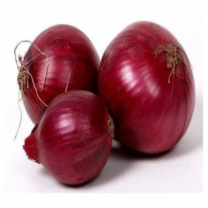 Fresh Bhagva Red Onion