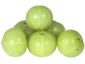 Indian Gooseberry (Amla) Extract