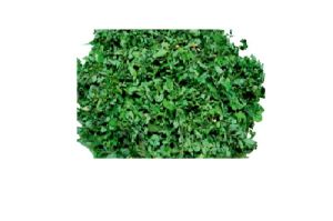 vacuum dehydrated moringa leaves