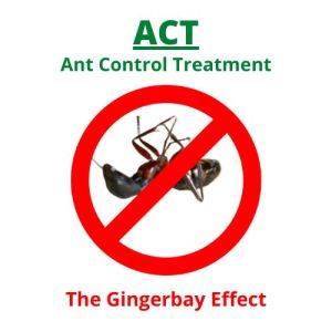 ant pest control services