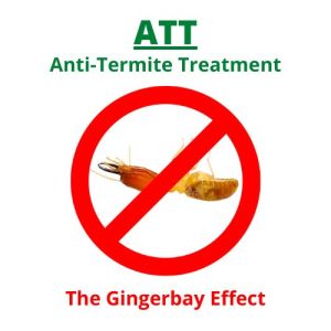 Anti Termite Pest Control Service