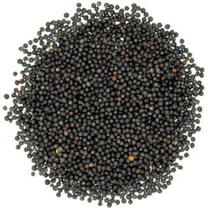Black Rai Seeds