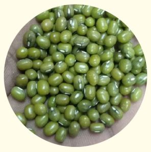 Green Moong Beans