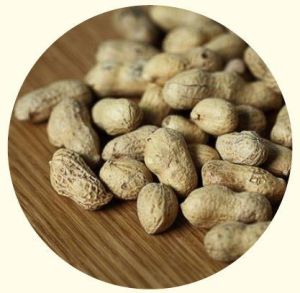 Organic Shelled Peanuts, Shelf Life : 6-9months